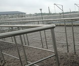 均苯四甲酸二酐废水处理方法及其应用