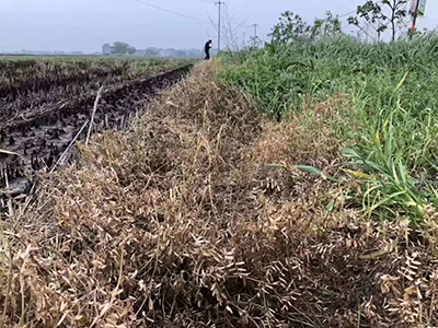 草甘膦废水处理方法及环境影响评估