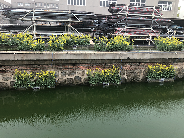 mbr膜应用河道治理方法