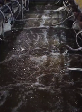 经过mbr的水还是有浊度原因有哪些?