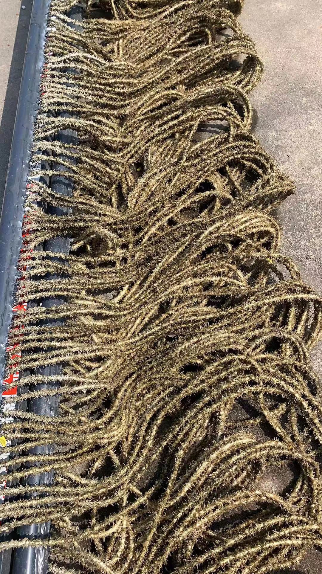 水污染的类型和特点有什么？